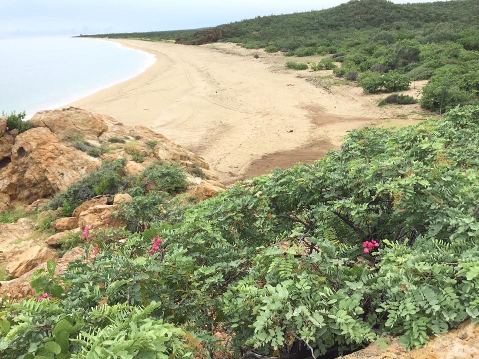 Casa Chunique Baja California Sur (27)